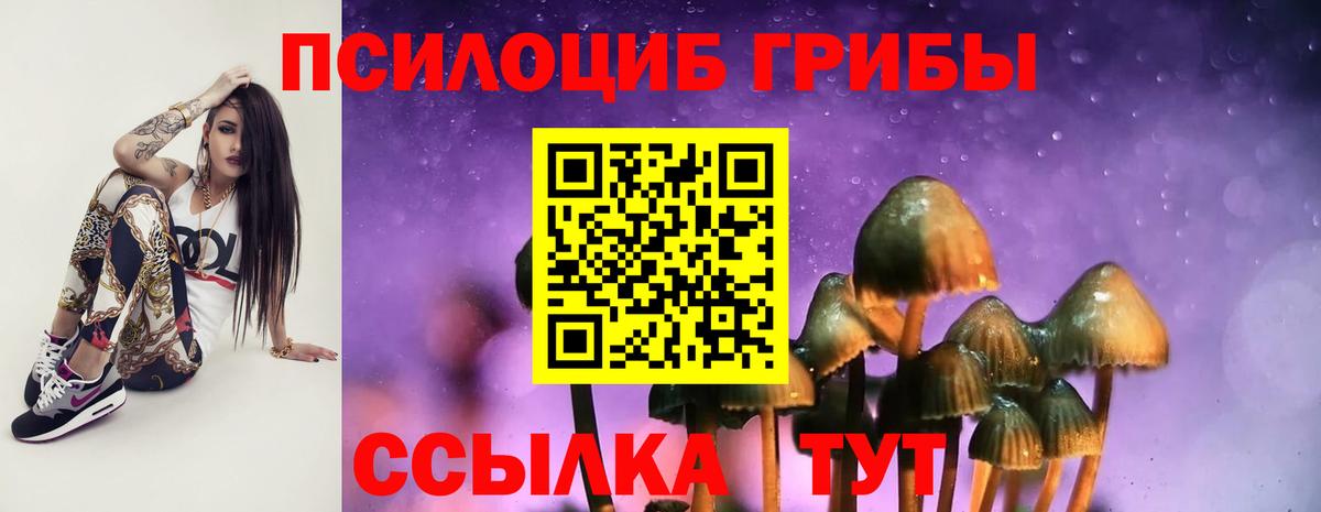 Котовск  закладка  Вход с VPN  Псилоцибиновые грибы Psilocybine cubensis 